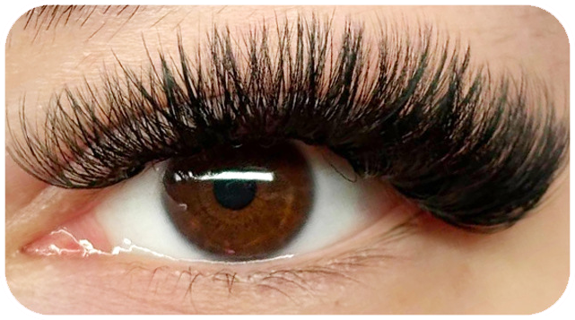 FreshHaven DIY Lash Kit Salon-Style Lashes at Home — Now 50% OFF