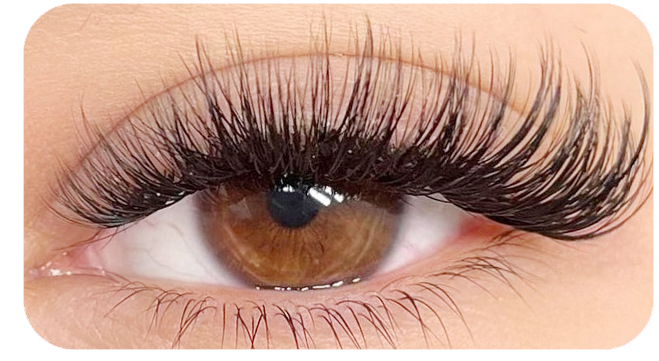 FreshHaven DIY Lash Kit Salon-Style Lashes at Home — Now 50% OFF
