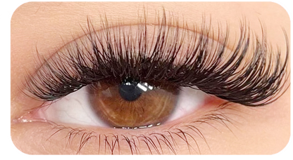 FreshHaven DIY Lash Kit Salon-Style Lashes at Home — Now 50% OFF