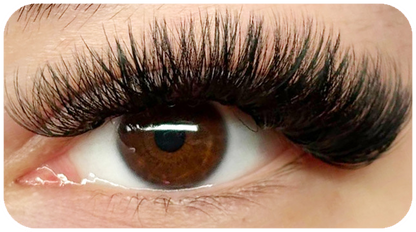 FreshHaven DIY Lash Kit Salon-Style Lashes at Home — Now 50% OFF