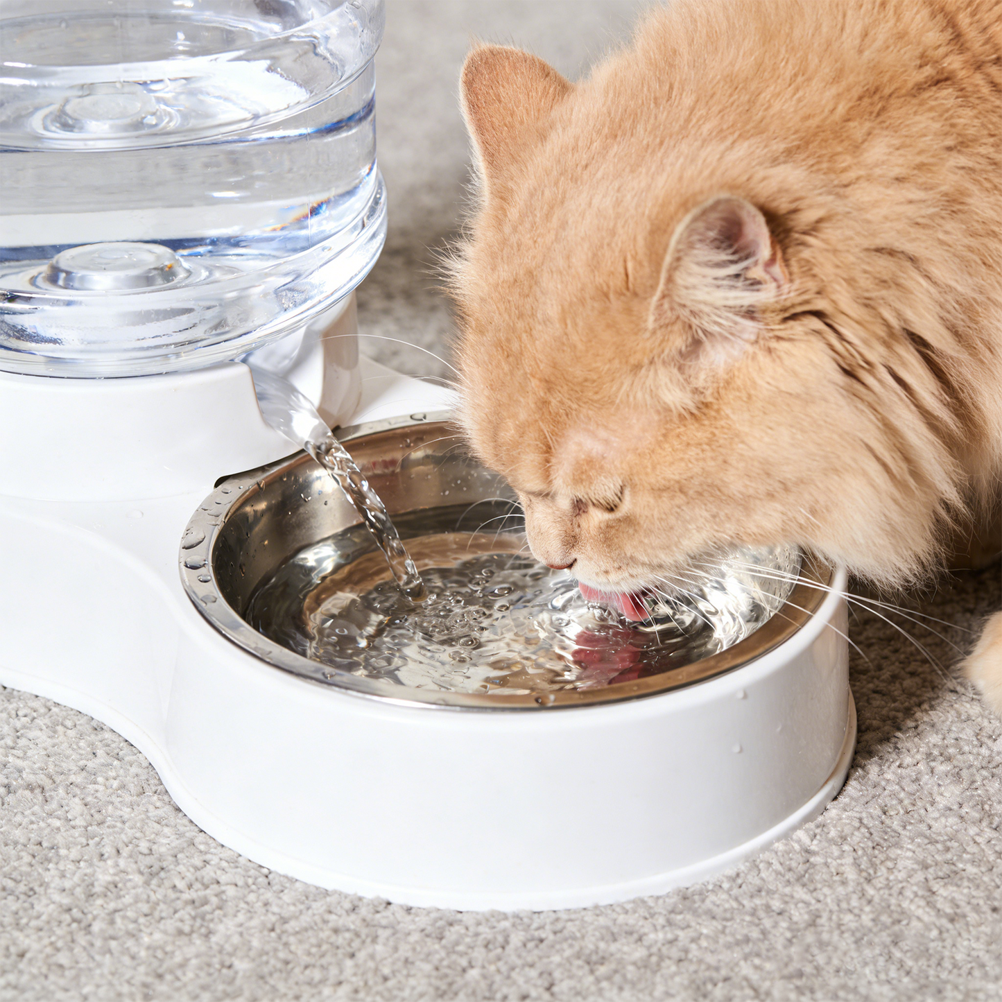 Universal Pet Fountain Filter – 3-Layer Carbon & Resin Cartridge